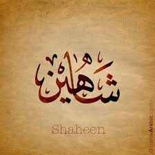 تصميم بالخط العربي لإسم Shaheen شاهين معنى الاسم اسم شاهين هو اسم مذكر عربي والشاهين هو طير من الطيور Calligraphy Words Calligraphy Name Urdu Calligraphy