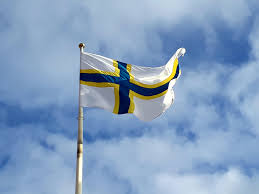 Prior to 1983, the day was celebrated as the swedish flag day. The National Day Of The Sweden Finns Watching The Swedes