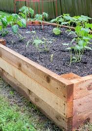 Diy Raised Garden Bed Diy Raised Garden Raised Garden Raised Garden Beds