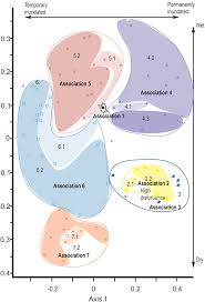Image result for Hypselodelphys scandens