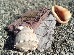 Why In The Sea Shell Can You Hear The Sound Of The Ocean The Noise Of The Ocean Is Produced By The Noise Of Our En Organic Linens Bed Linens Luxury