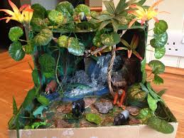 Biome In A Box Tropical Rainforest Our Rainforest In A Shoe Box Habitats Projects Ecosystems Projects Biomes Project