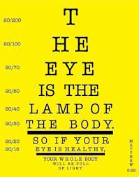 The Optical Journal Eye Exam Eye Facts Basic Anatomy And Physiology
