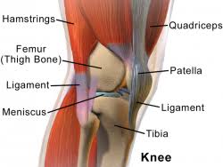 I have had no knee pain since starting on this stuff where previously i was having aches walking up stairs. Anterior Knee Pain Physiopedia