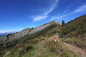 Wandern ★ buchen sie bei interhome ✓ geprüfte bewertungen von gästen. Sommer Tourismusverband Grossarltal