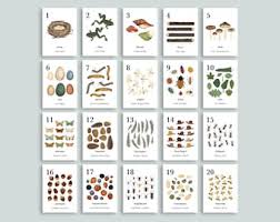 If a blueprint has a 1 : I5kwtlnyvgmddm