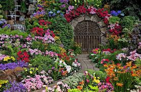 Pin On Gardening Ideas
