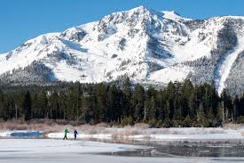 I'd never even heard of tahoe mountain sports until i googled the thermarest air mattress i was looking for and saw they had the best price for exactly what i was. Be Your Own Locomotive Try Cross Country Skiing In The High Sierra