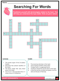 Image result for Cardiovascular Worksheets