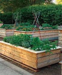 Stylish Raised Beds Finegardening Garden Beds Vegetable Garden Raised Beds Raised Garden