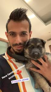 Indian cricketer | rcb for enquiries : Yuzvendra Chahal On Twitter New Family Member Scotty
