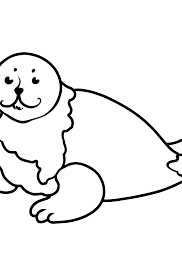 Check spelling or type a new query. Seal Coloring Page Download Print And Color Online