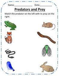 Match The Predators And Prey Food Chain Activity Food Chain Activities Food Chain Predator