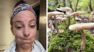 Norwich chef arrested over knife claimed it was for foraging