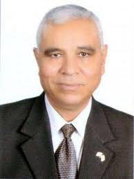 Editorial Board Members