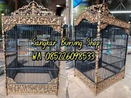  Pin Di Sangkar Cungkok Kacer