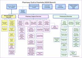 Interactive Organizational Chart Template Templates