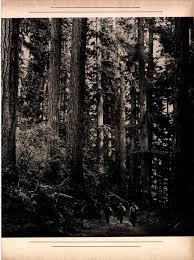 The California Lumber Merchant - December 1957 by 526 Media Group - Issuu