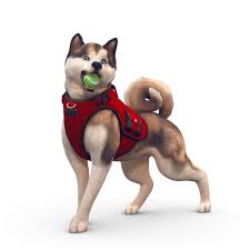 Going on vacation is one of the best experiences — you get to escape responsibilities, see a new place and create new memories. The Sims 4 Pet Training Skill Guide Cats Dogs Ultimate Sims Guides