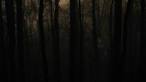 Explore and download tons of high quality forest wallpapers all for free! Pin On Ndhnhdng