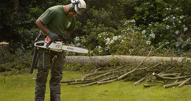 Commercial estate grounds grooming in Shooters Hill SE18