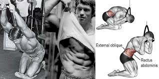 El escoces tom stoltman debe ser nombrado como el rey de las piedras. How To Do Cable Crunches The Right Way Fitness Volt