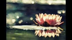 Sumatra project & shanti queen — introduction 2 the light 00:46. Soundhound Queen Of The Blossoms By Shi Zhi You