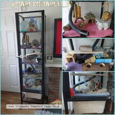 Roborovski Hamster Ikea Cage Complete Roborovski Hamster Hamster Toys Hamster Cage