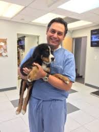Our animal hospitals and pet care clinics provide free veterinary treatment to sick and injured pets when their owners can't afford private veterinary fees. Our Veterinary Team Tujunga Veterinarian Big Tujunga Veterinary Hospital