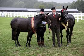 The UK In-hand Awards