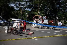 18-Year-Old Dies in Fall From Horse Carriage in Central Park
