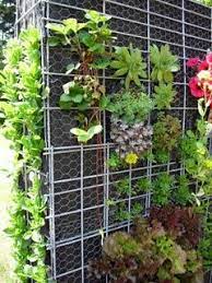 Diy Vertical Garden Support Posts Chicken Wire Typar Cloth And Dirt Vertical Garden Diy Vertical Herb Garden Tomato Container Gardening
