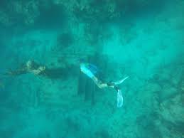 Image result for Deep Sea 2011 HS