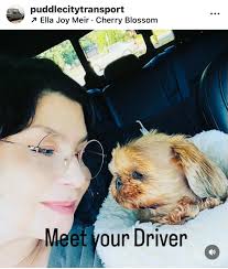 Alternative ride service in Vancouver