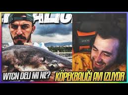 Jahrein Bege Yeniden Izliyor Youtube