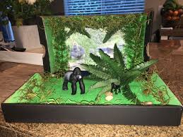 Gorilla Habitat Diorama Habitats Projects Jungle Crafts Animals For Kids