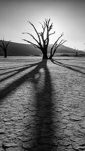 Desert Rocks Plants Drought Black And White 92694 640x1136 Black And White Landscape Desert Photography Black And White Desert