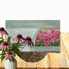Image result for Echinacea purpurea `Magnus`