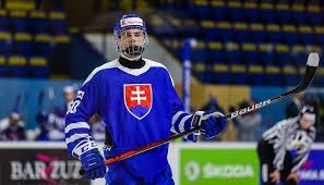 Čeští hokejisté budou hrát na ms v hokeji 2021, které uspořádá lotyšsko, v základní skupině a. Slovensko Na Ms V Hokeji 2021 Toto Budu Lidri Nasich Rtvs Sk
