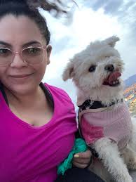 Grieving the loss of a beloved pet, a diabetic and blind dog