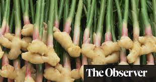 One flower looks like an otherworldly pinecone; Gardens Get Your Ginger Up Gardening Advice The Guardian