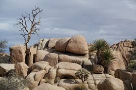 We did not find results for: Mojave Desert