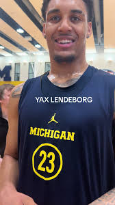 Dominic Nicholson Michigan Basketball