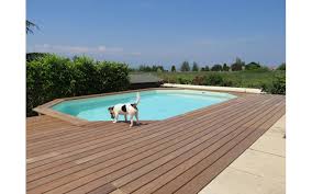 Rendez Vous Foire De La Roche Sur Foron 2014 Arizona Pool