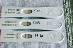 Tests