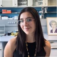 10 "Sandra Freitas" profiles