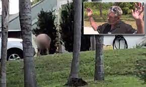 Florida neighbors horrified about nudist who does yard work as sheriff's  state their hands are tied | Daily Mail Online