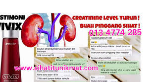 Mengapa perlu menjaga kesihatan buah pinggang? Bacaan Kreatinin Pesakit Buah Pinggang Turun Selepas Konsisten Vivix Pengedar Shaklee Kota Damansara Pj