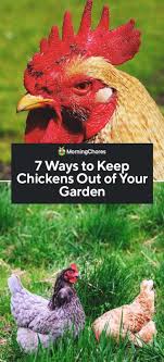 We did not find results for: 7 Ways To Keep Chickens Out Of Your Garden