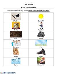 All about sound and light, comparing matter, earth yesterday and today, plants, magnets, objects in motion, rocks, soil and water, fossils and dinosaurs, land habitats, reptiles, amphibians and fish. What A Plant Needs And Parts Of A Plant Worksheet